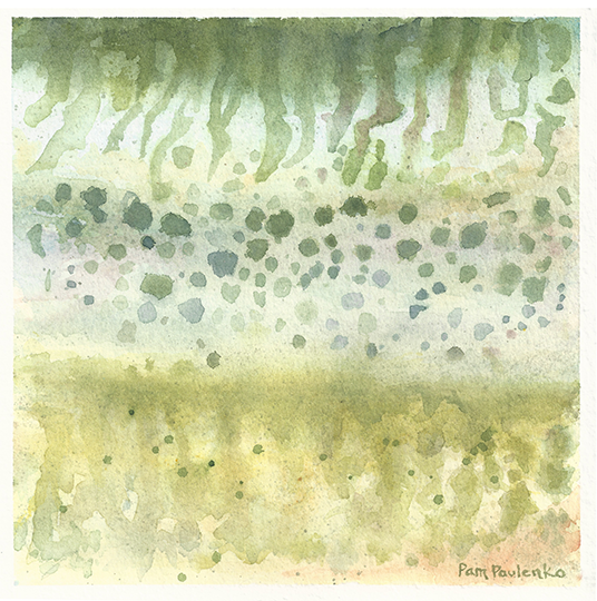 Muskellunge Colour Mashup | Original Watercolour Painting