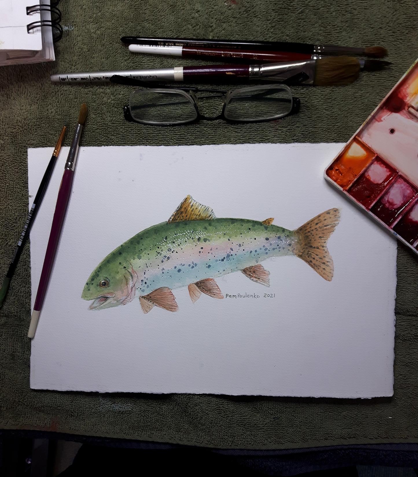 Rainbow Trout Fish Original - Original Watercolour Art by Canadian Artist Pamela Paulenko, painting Ontario wildlife