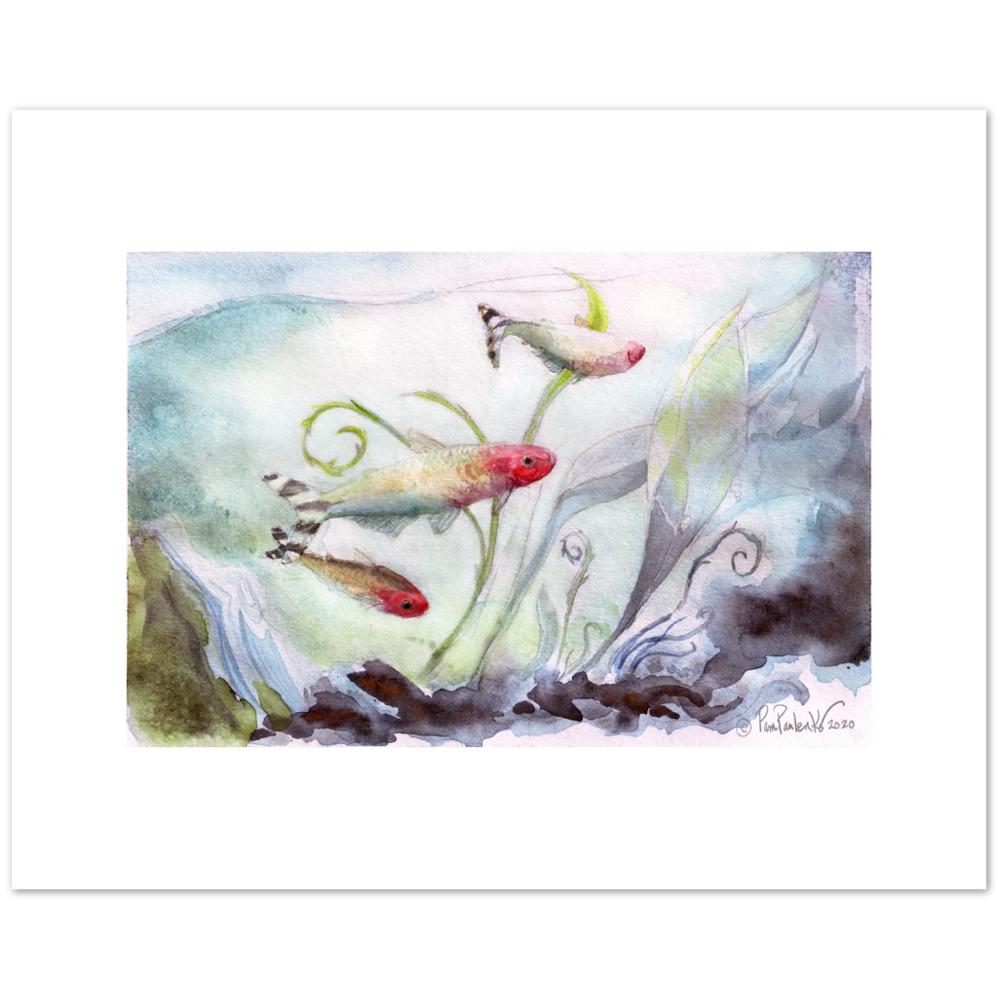 Rummynose Tetras Classic Matte Paper Poster - Original Watercolour Art by Canadian Artist Pamela Paulenko, painting Ontario wildlife