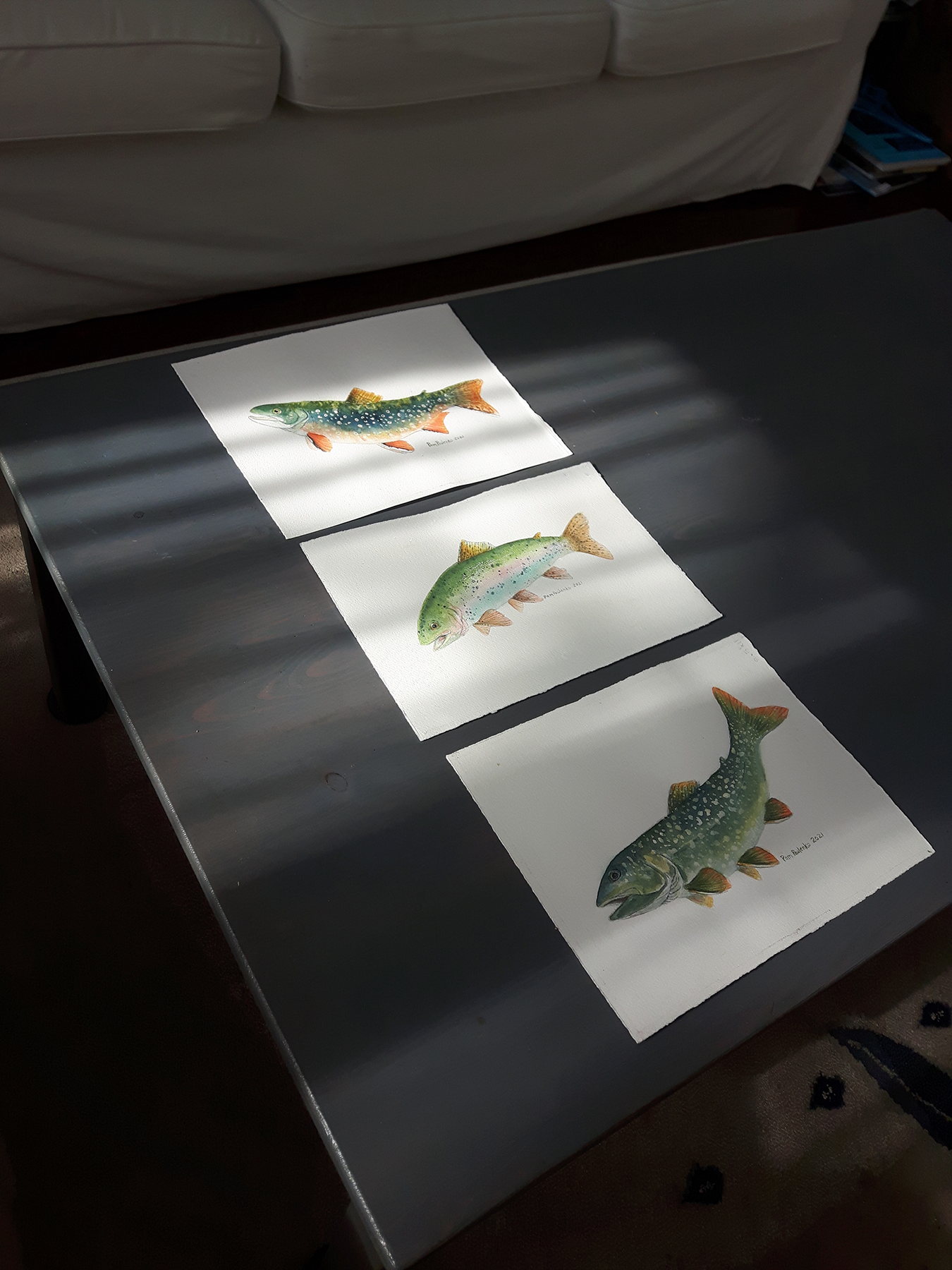 Rainbow Trout Fish Original - Original Watercolour Art by Canadian Artist Pamela Paulenko, painting Ontario wildlife