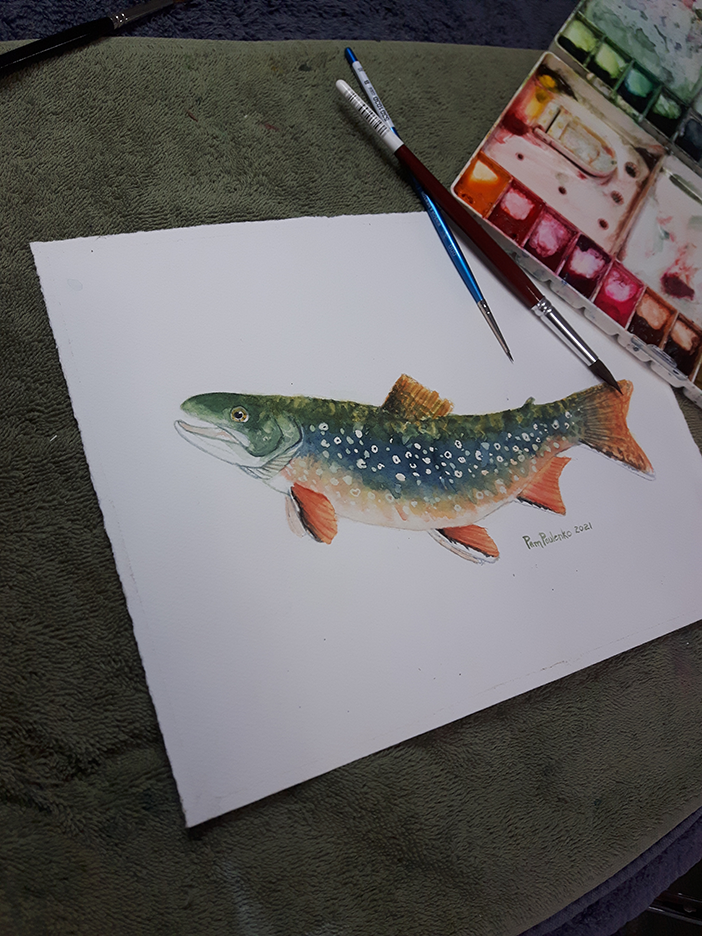 Brook Trout Original - Original Watercolour Art by Canadian Artist Pamela Paulenko, painting Ontario wildlife