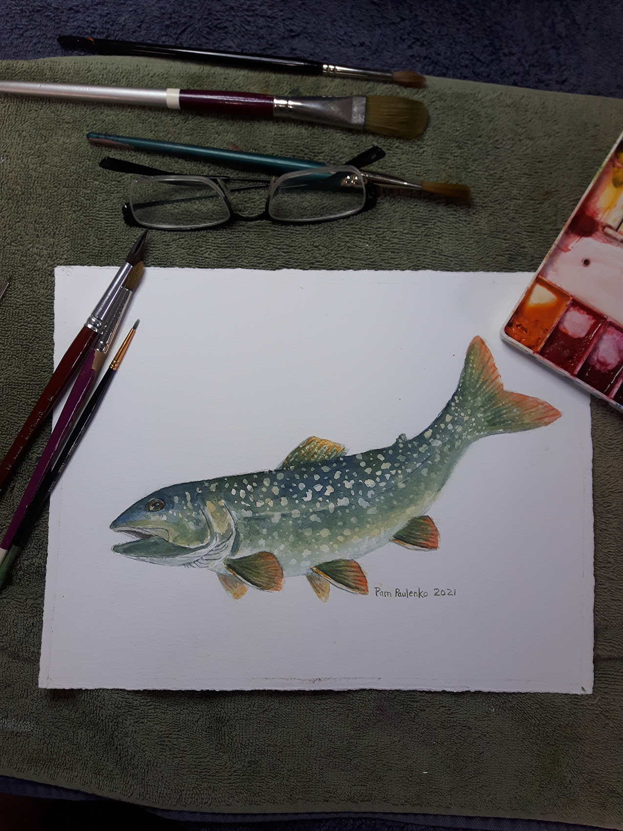 Lake Trout Fish Original - Original Watercolour Art by Canadian Artist Pamela Paulenko, painting Ontario wildlife