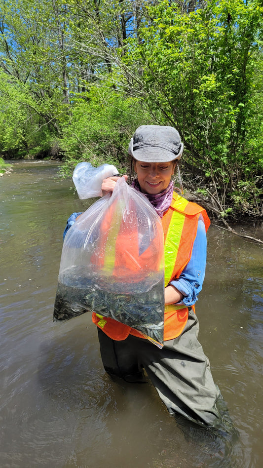 Bring Back The Salmon 2025