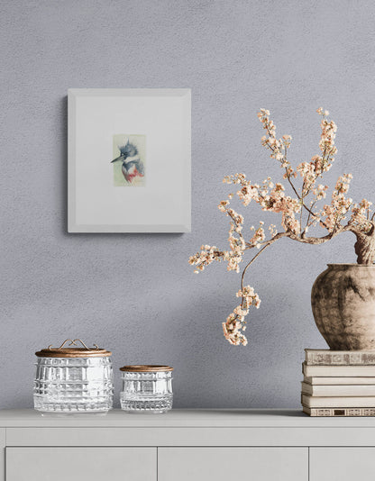 Red-Belted Kingfisher Watercolour Art Print | 5 × 7 |  Ontario Wildlife