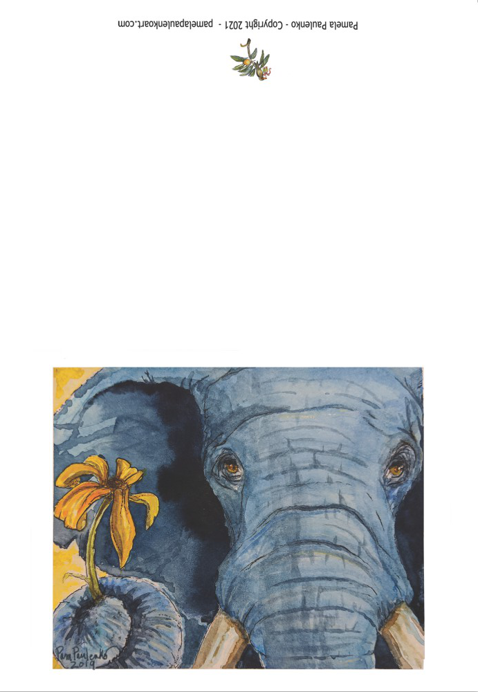 Elephant offering flower Cards (white envelopes) - Original Watercolour Art by Canadian Artist Pamela Paulenko, painting Ontario wildlife