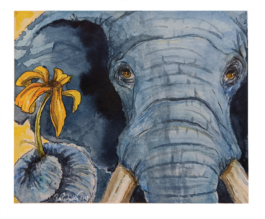 Elephant offering flower Cards (white envelopes) - Original Watercolour Art by Canadian Artist Pamela Paulenko, painting Ontario wildlife