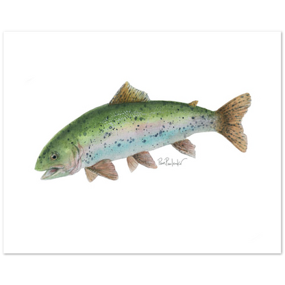 This is a picture of a rainbow or speckled trout print created by the nature loving artist Pam Paulenko