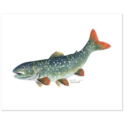 Classic Matte Paper Poster Lake Trout Watercolour - Original Watercolour Art by Canadian Artist Pamela Paulenko, painting Ontario wildlife