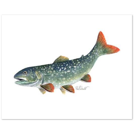 This is a picture of a rainbow or speckled trout print created by the nature loving artist Pam Paulenko
