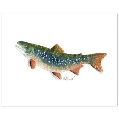 Classic Matte Paper Poster Brook Trout Watercolour - Original Watercolour Art by Canadian Artist Pamela Paulenko, painting Ontario wildlife